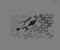 WORCESTER BOSCH 87161072240 CLIP & SCREW SEAL KIT