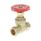 GENBRA 22mm Non BS Gatevalve