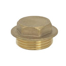 1/2" BRASS FLANGE PLUG BRFP-D