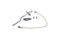 Ideal Flamesensing Electrode Kit 173529