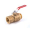 Domestic Meter Control Valve ECV - 1