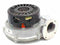 VAILLANT ECOTEC PLUS 415 418 428 438 BOILER FAN 0020035220 (1 YEAR WARRANTY)