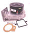 193593 VAILLANT ECOTEC PLUS 824 831 837 612 618 624 630 637 & PRO 24 28  FAN(BRAND NEW)
