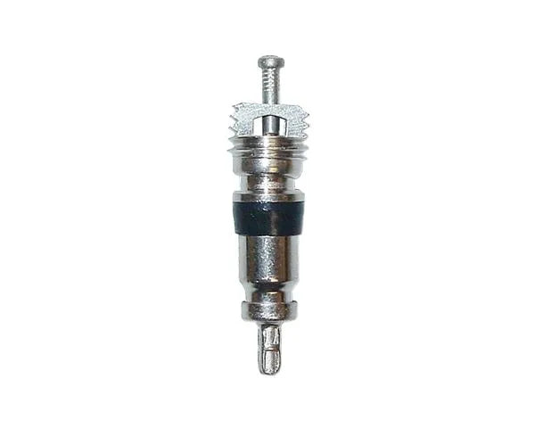 REGK33 Schrader Valve Cores (10)