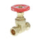 22MM STANDARD GATEVALVE