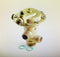 0020038520 GLOWWORM BETACOM 24 & 30 DIVERTER VALVE